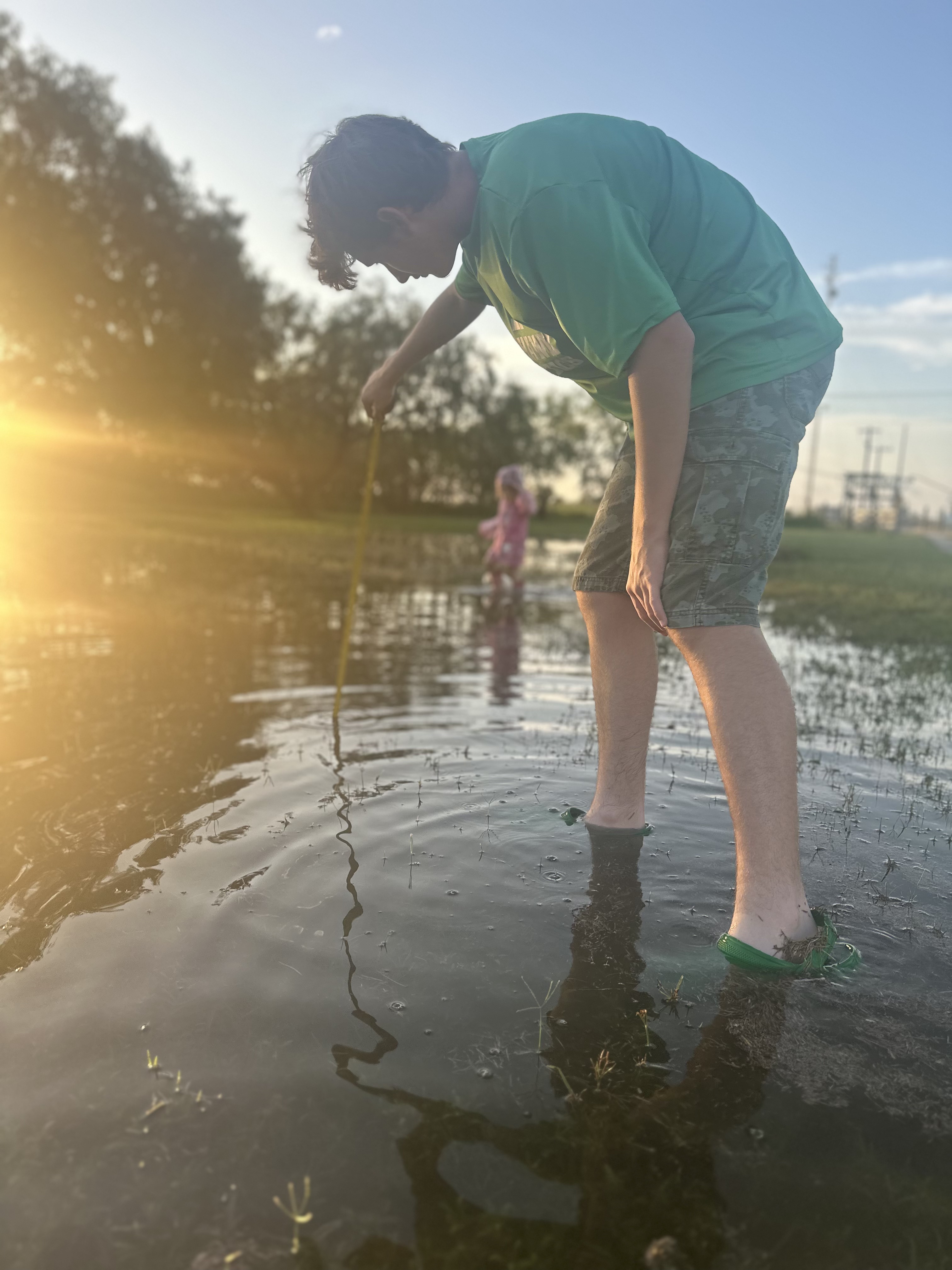 Returning to standing water after rain, observing the wet pasture in the evening light