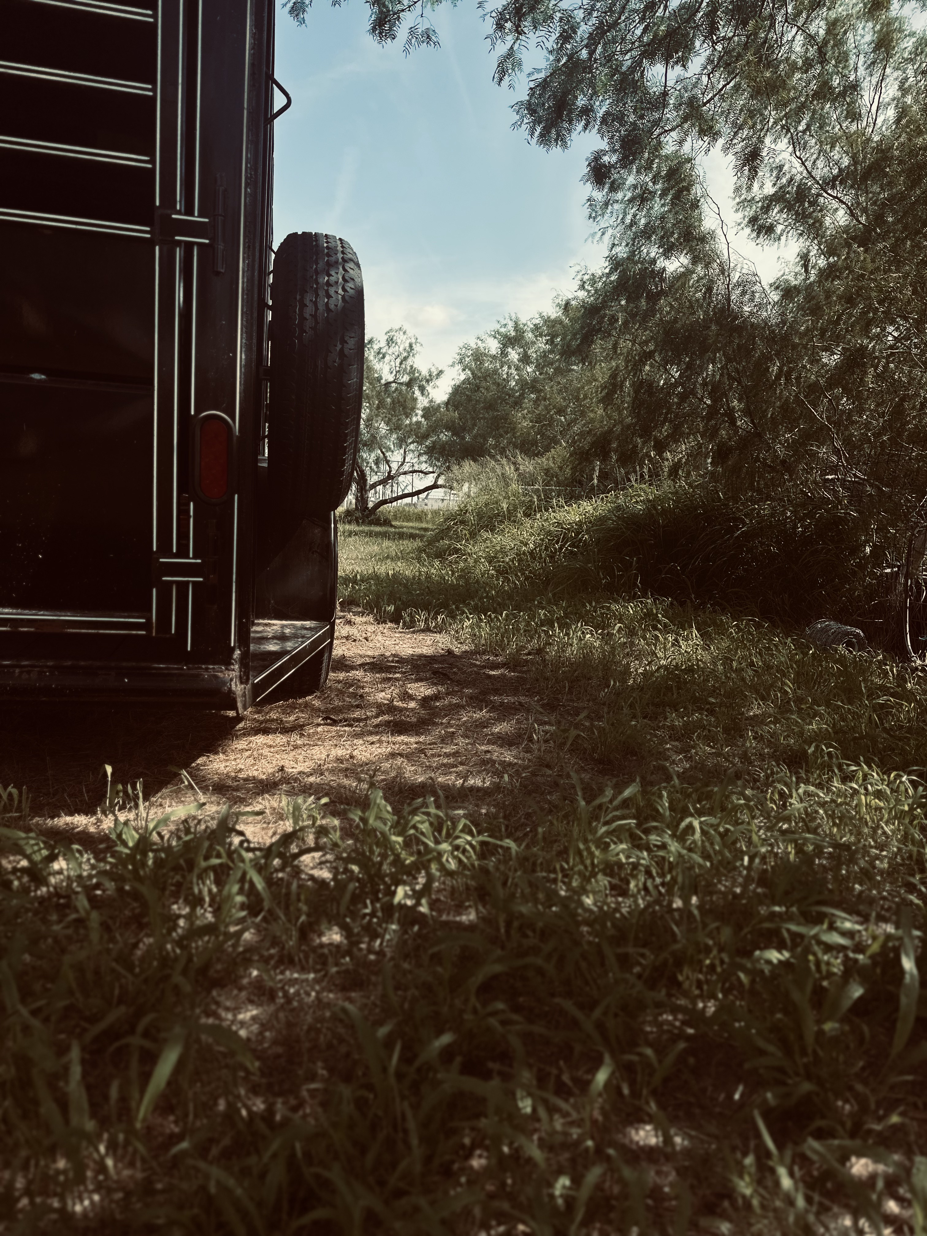 Rear and side of the black livestock trailer beside grass and trees